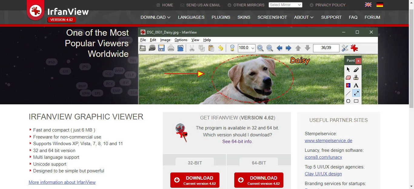 Screenshot of IrfanView homepage with download button